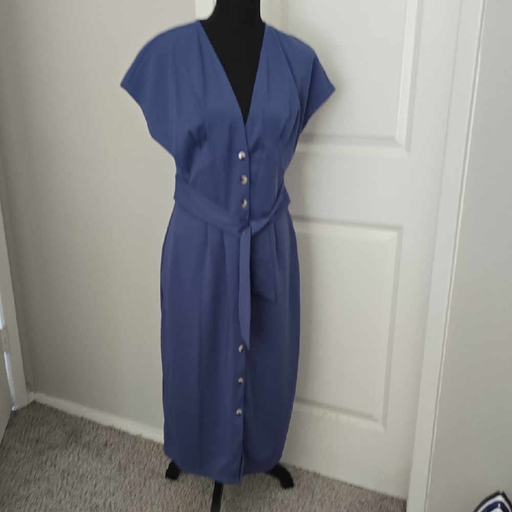 Elegant Blue Button-Down Dress